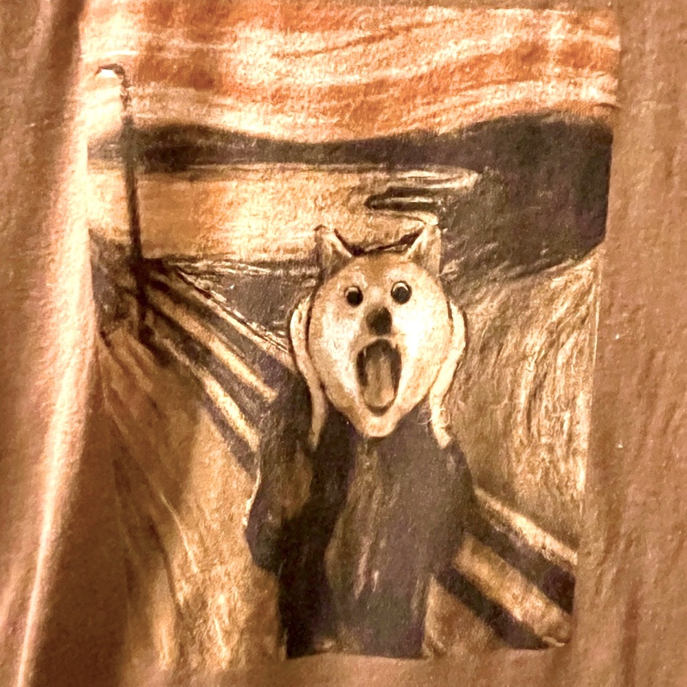 THE SHOUT Tee shirt Small Pit to Pit 18”